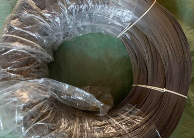 Un buen precio. El ISO/la BV galvanizó carbono de la bobina del alambre de la primavera de la capa el alto para la cerca del parque en línea